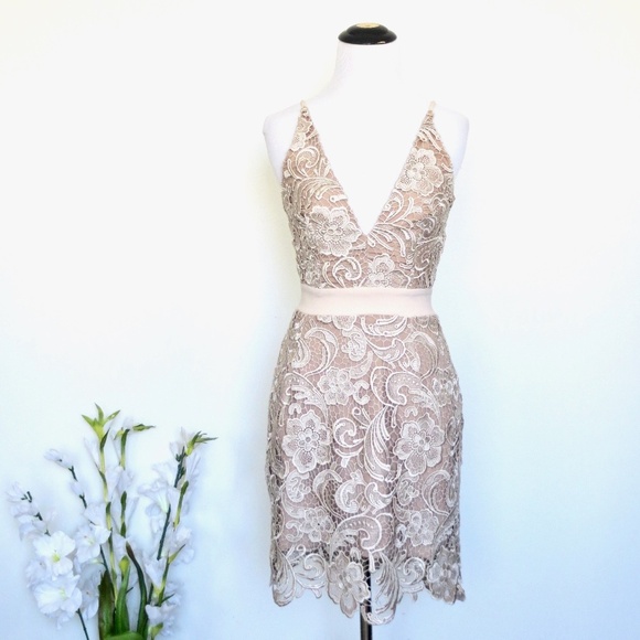 NEW! Dress the Population Ava Dress Champagne Nude Floral Lace V-Neck SZ XS - Picture 2 of 11